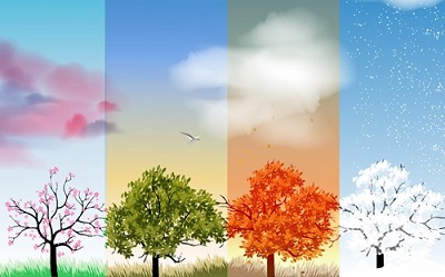 Seasons of Life